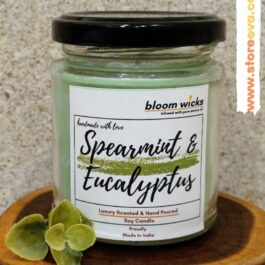 Spearmint & Eucalyptus Vegan Wax Candle
