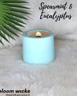 Soy Candle in Cement Pot with Wooden Wick Eucalyptus & Spearmint